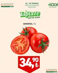 DOMATES KG indirimli fiyat DOMATES KG fiyat ve kampanya bilgisi